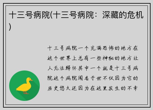 十三号病院(十三号病院：深藏的危机)