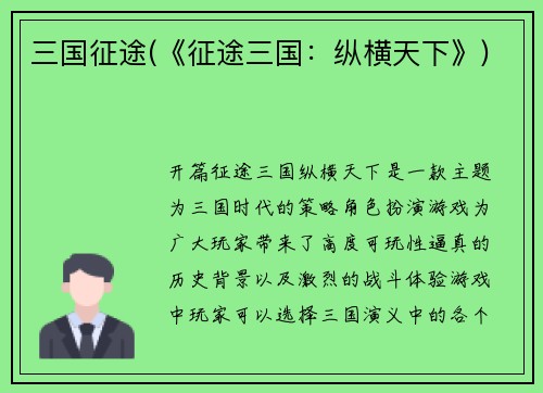 三国征途(《征途三国：纵横天下》)